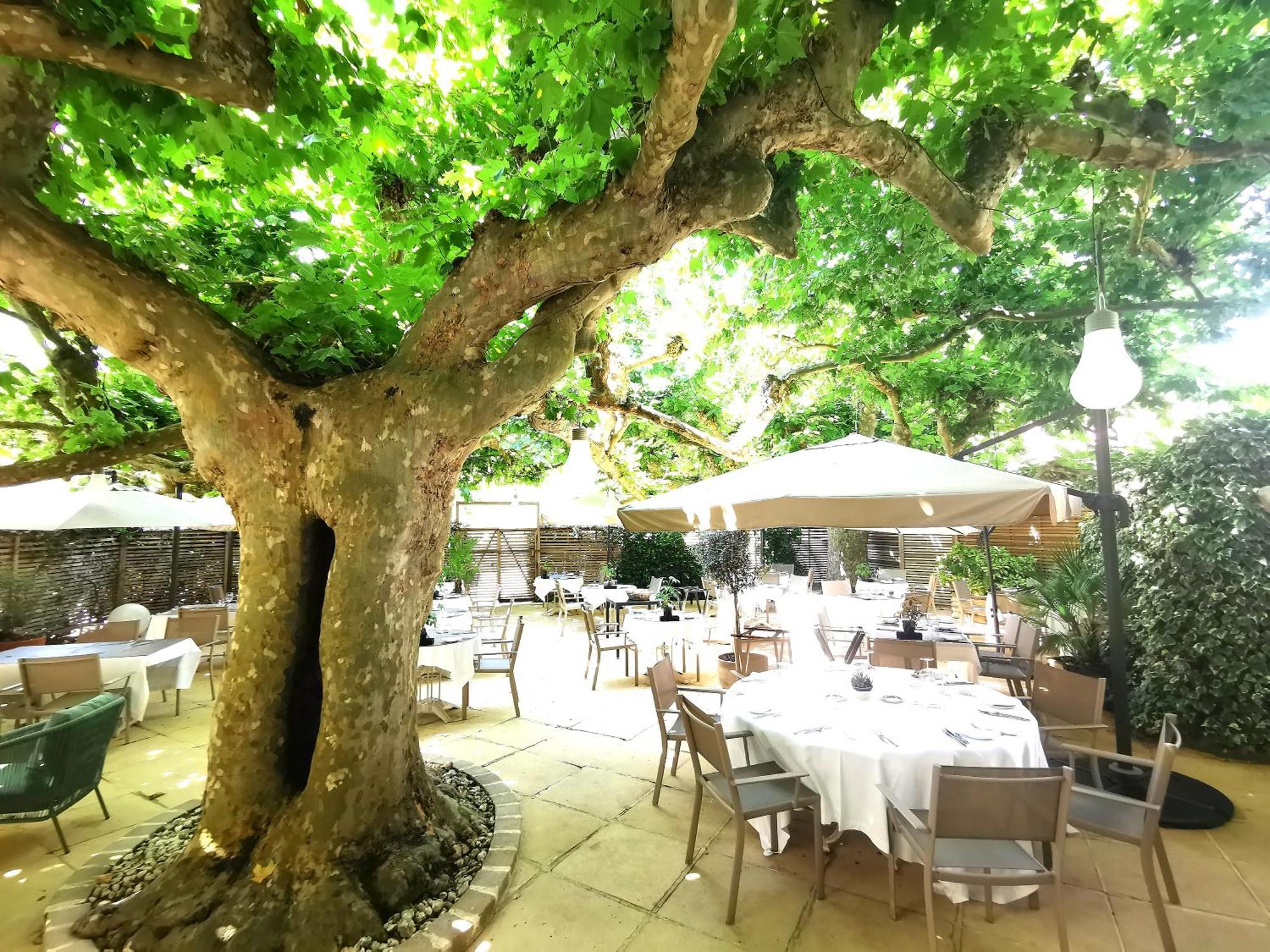 Logis Hotel - Restaurant Maison Claude Darroze Langon  Exterior foto